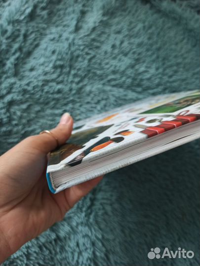 Детская энциклопедия выживание