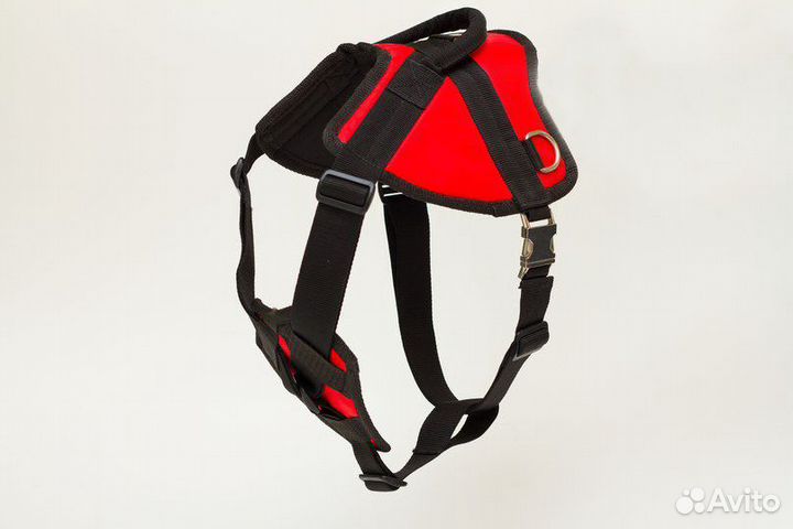 Шлейка для собаки