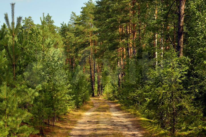 Участок 7,2 сот. (ИЖС)