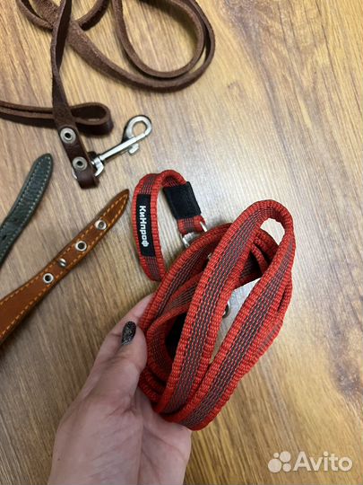 Ошейник селедка, поводок, рулетка 8м