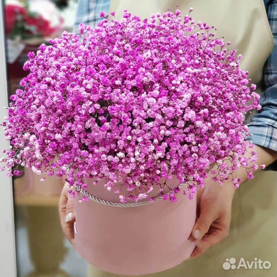 Красивые Композиции из Гипсофилы с Доставкой