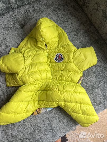 Комбинезон для маленькой собаки