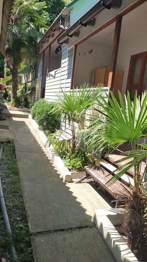 Комната 12 м² в 6-к., 1/1 эт.