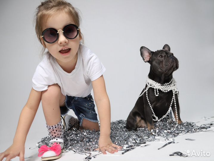 Аренда собаки