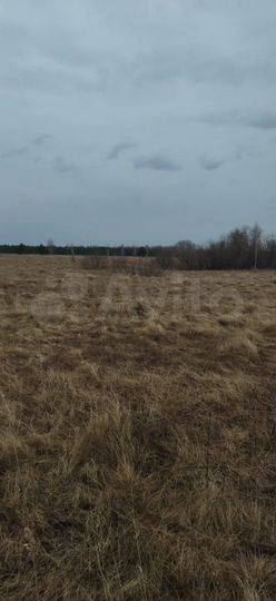 Участок 5 га (СНТ, ДНП)