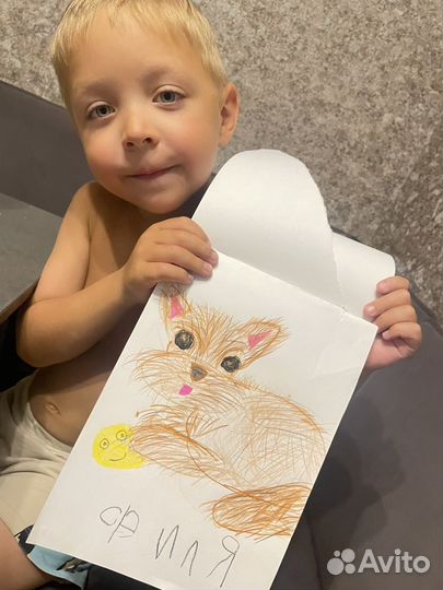 Рисунок вашего питомца