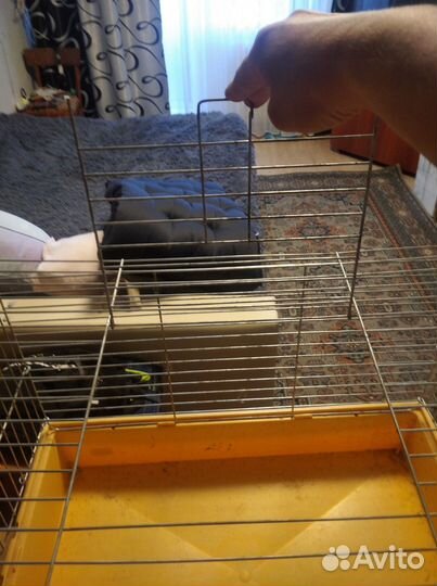Клетка для животных бу