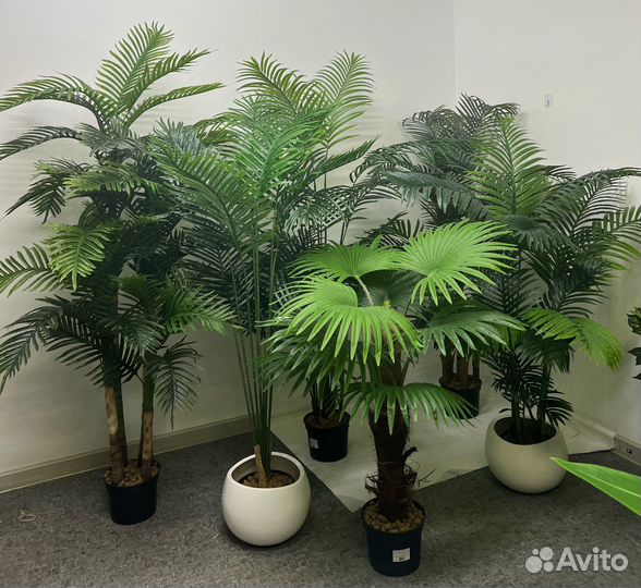 Пальмы искусственные в ассортименте