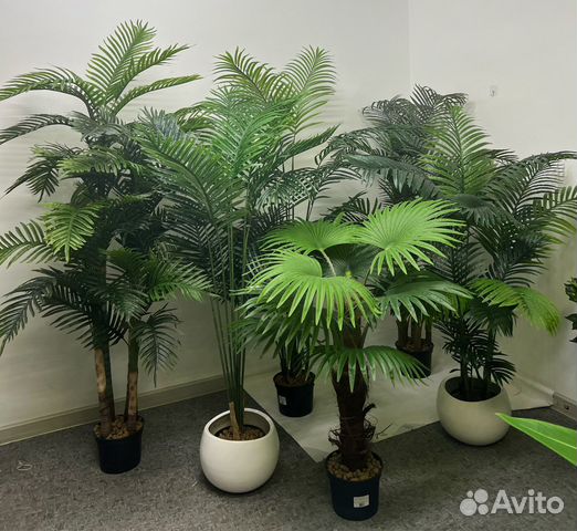 Пальмы искусственные в ассортименте