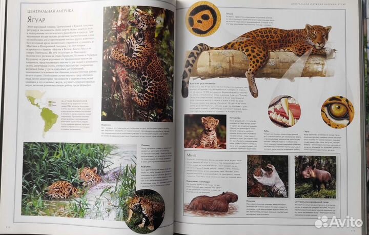 Иллюстрированный атлас о животных и природе