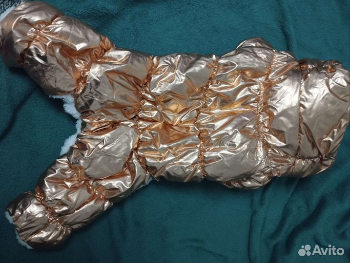 Одежда для средних собак