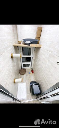 Передержка, зоогостиница