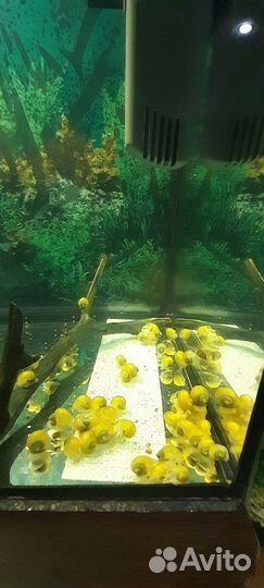 Украшение для аквариума