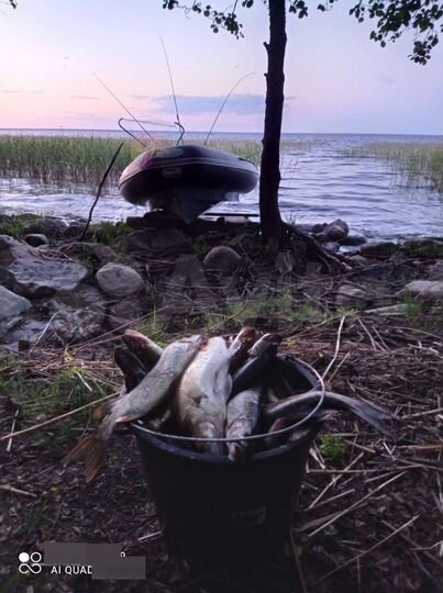 Дом 32 м² на участке 20 сот.