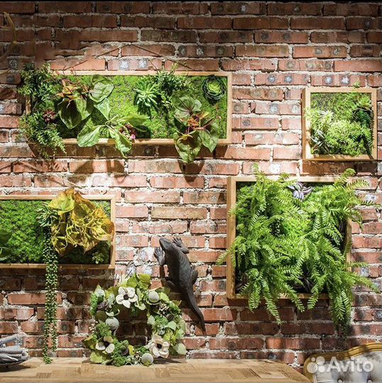 Фитостена, искуственное озеленение