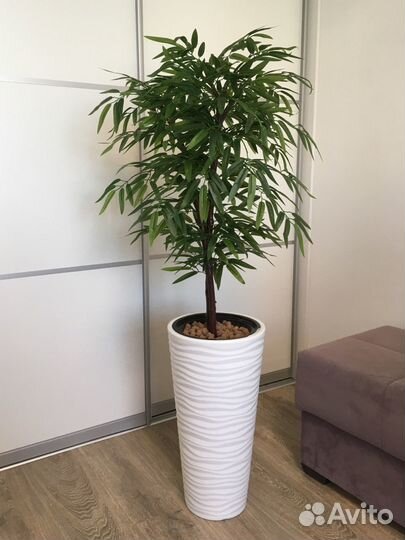 Искусственные растения