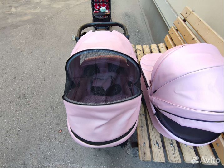 Коляска Адамекс 2 в 1