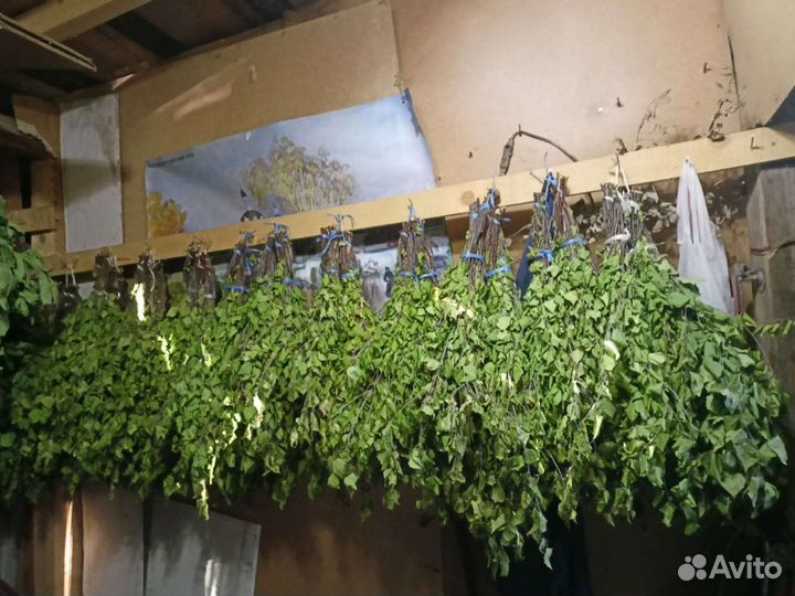 Веники для бани