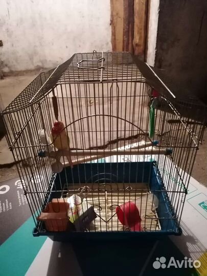 Клетка для птиц