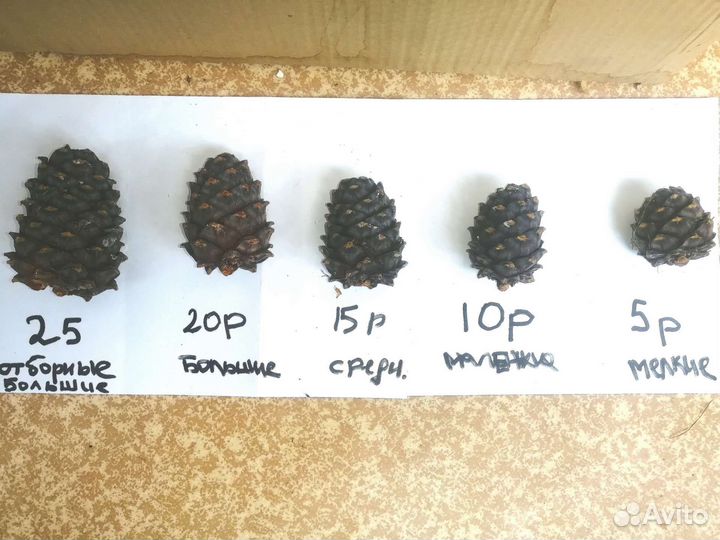 Кедровые шишки/орех