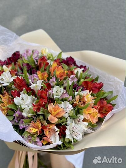 Букет из 35 Альстромерий микс в матовой бумаге