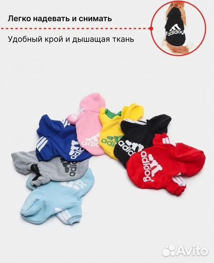 Одежда для маленьких пород собак и кошек