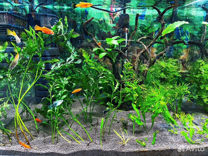 Чистка аквариума