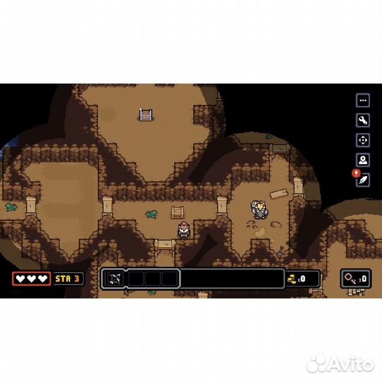 Dungeons of Aether Nintendo Switch, английская версия