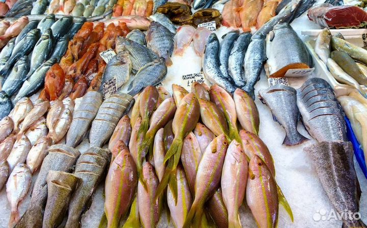 В продаже готовый бизнес – магазин рыбы