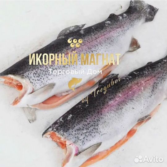 Форель свежемороженная