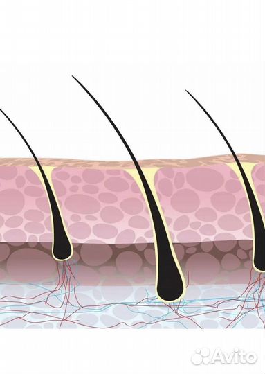 Бальзам для волос Лечит Перхоть