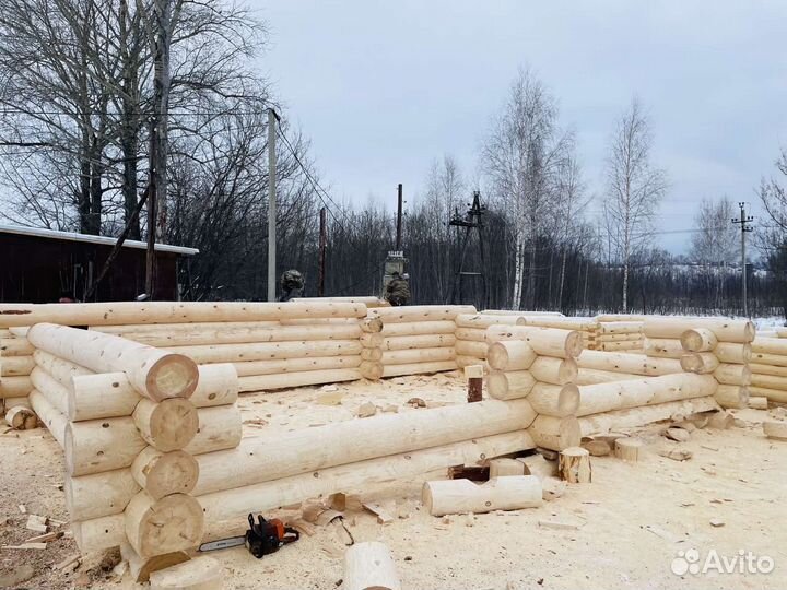 Срубы бань и домов из зимнего леса