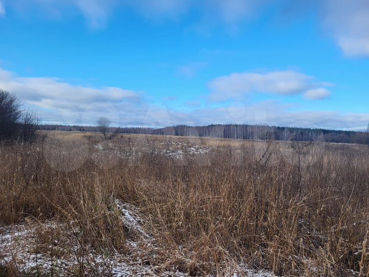 Участок 40 сот. (ИЖС)