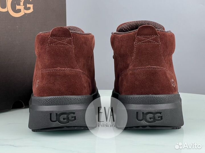 Мужские ботинки Ugg Chukka Dusty Cocoa