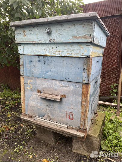 Ульи для пчел с рамками