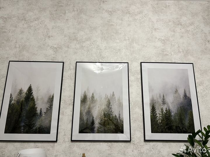 Картины туманный лес