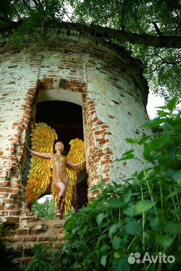 Аренда прокат крылья