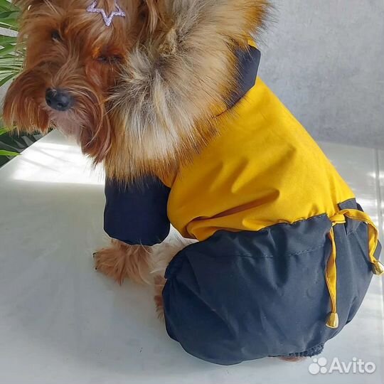 Одежда для собак