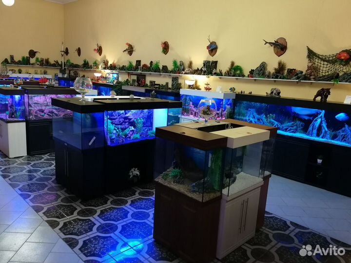 Аквариумы любых размеров