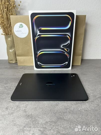 iPad pro 11 m4 256gb