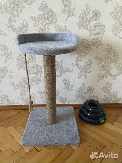 Когтеточка