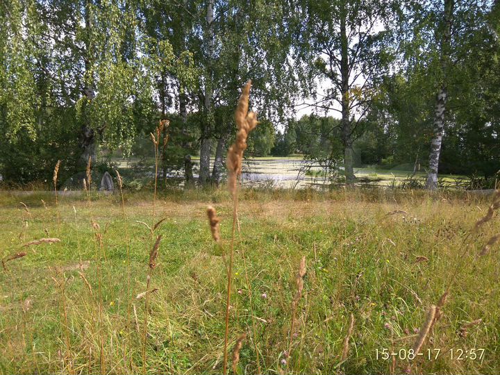 Участок 14 сот. (СНТ, ДНП)