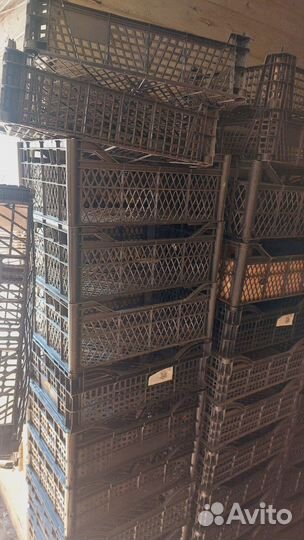 Ящик пластиковый