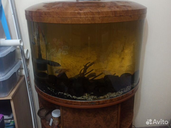 Аквариум. jebo R790