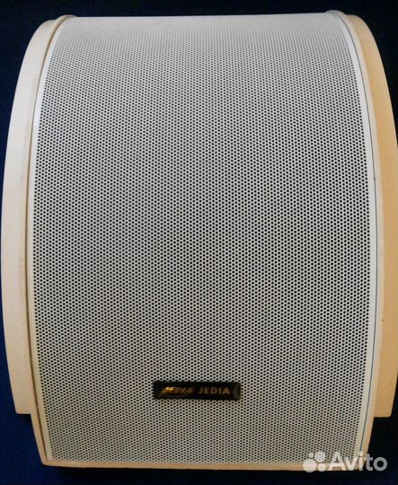 Громкоговоритель Jedia JWS-110W новое