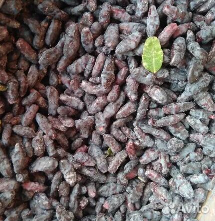 Свежемороженые ягоды, урожай 2024г