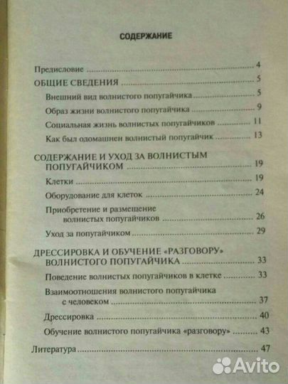 Как научить волнистого попугайчика