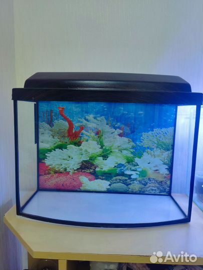 Аквариум