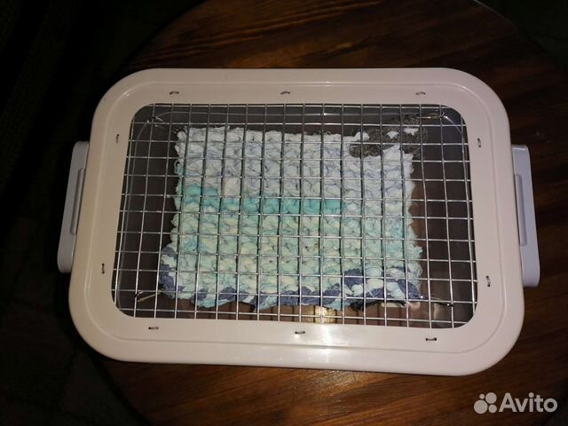 Переноска и поилка для грызунов