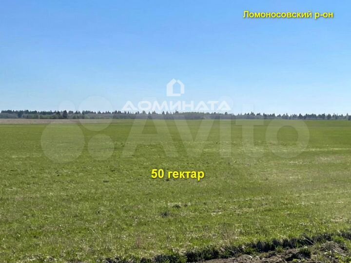 Участок 50 га (СНТ, ДНП)